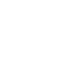 Robosoc